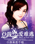 官场美人图