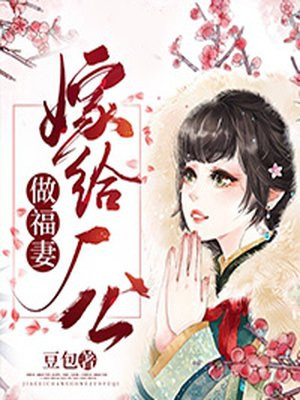 燃情仕途免费阅读全文