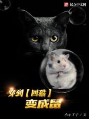 中国老妇另类xxxx