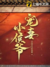如意芳霏小说