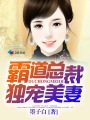 猫咪软件下载链接