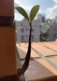 最强升级系统txt下载