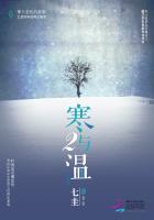 天籁纸鸢小说