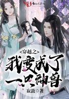 黑道第一宠婚全文免费
