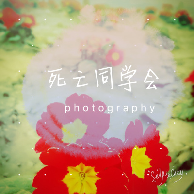花色直播频道