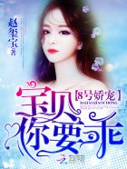 最佳女婿