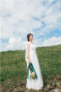 沈家九姑娘