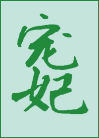 四大名捕小说