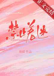 一品红人小说免费阅读全文