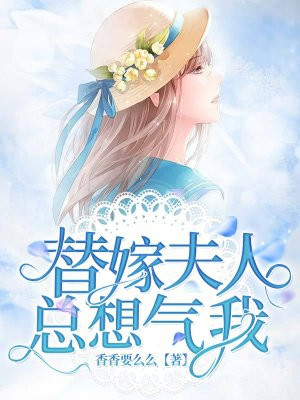 风流村长小说全集