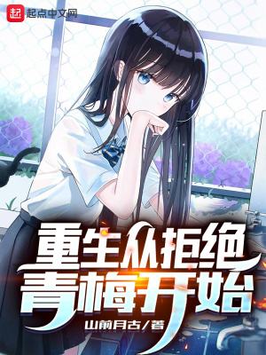 风起苍岚小说全集