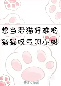 mpt下载