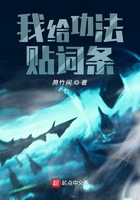 511影院在线观看理论片