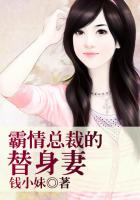小说齐等闲乔秋梦