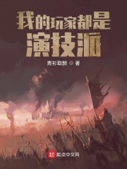 我的英雄学院之万磁王