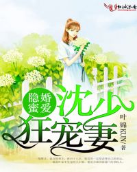 天台上的大象
