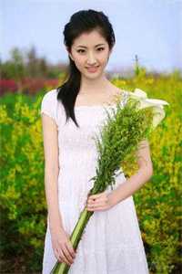 婆媳的战国时代电视剧全集免费观看