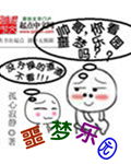 老司机 导航