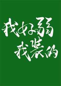 噼里啪啦韩剧免费观看