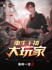 西北有高楼小说