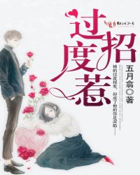 纸飞机肉全