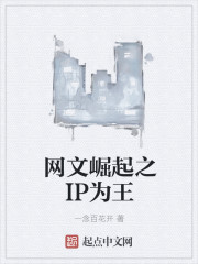 城市猎人小说