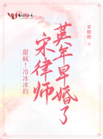 少年大宝风流