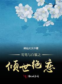 他似火陆曜完整版小说在线阅读