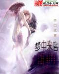 苏晚心费云沉免费阅读