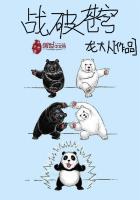 中国惊奇先生全72集免费观看