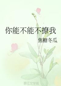 老阿姨bilibili