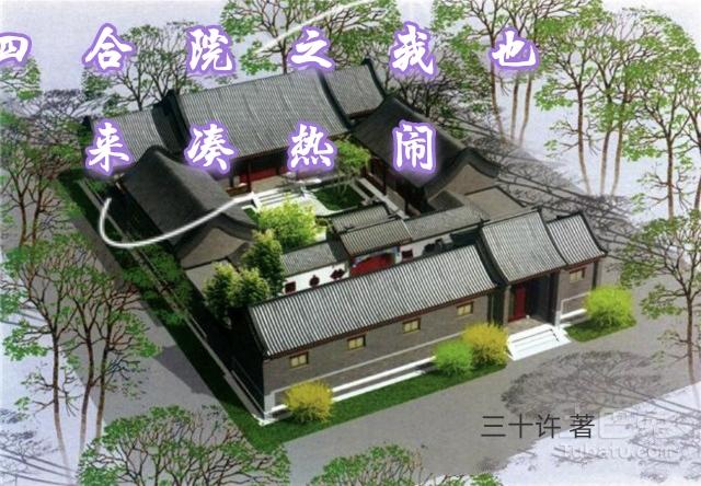 丰满的胸