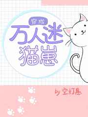 薄凉小说