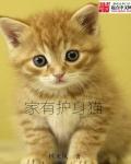 爱情而已