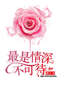 重生港娱之后宫目录