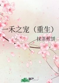 深宫谍影 电视剧