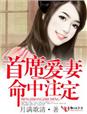 刺客的子弹