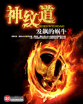 轮玩孕妇小说