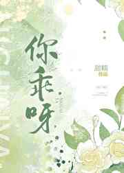 全职高手电视免费