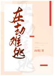 泽塔