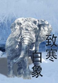 佐仓绊作品集