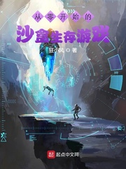霸道总裁宠萌妻 小说