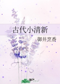 老奶奶vpswindows