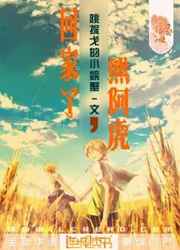 手机上的记账本小说
