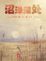 国产乱轮