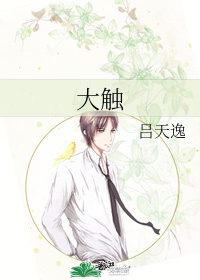 观察者网直播间