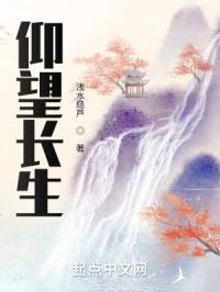 狐狸第三季电视剧免费观看