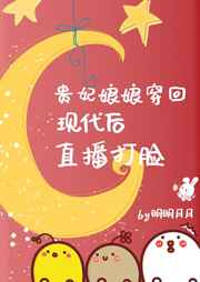 大魏芳华