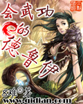 康熙的太子妃沈皎皎