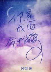 dpmi系列